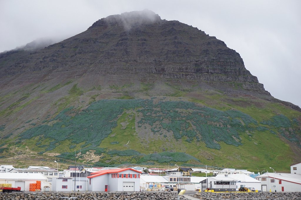 Bolungarvik 