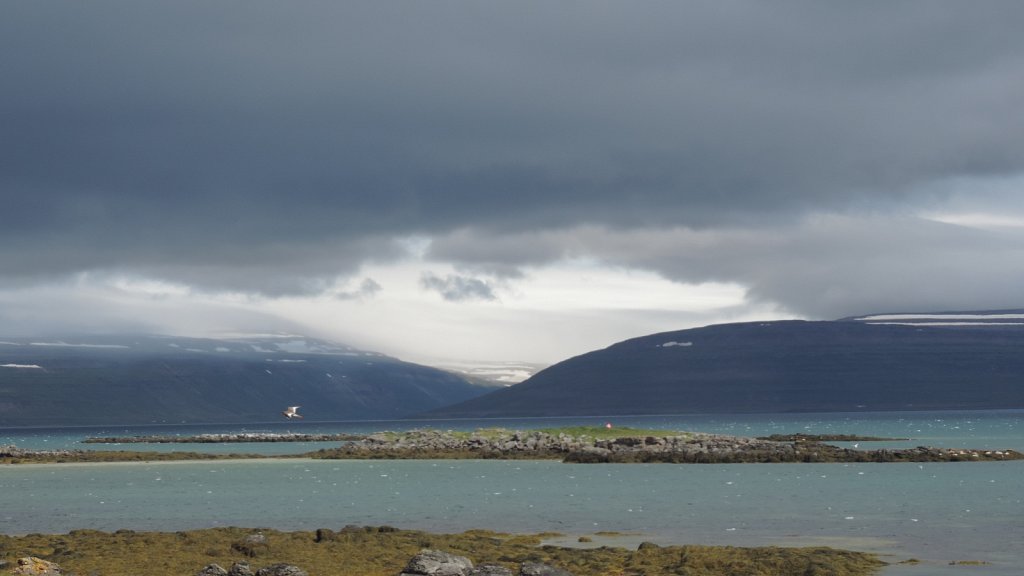 DSCN8606.JPG