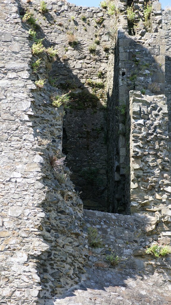DSC02869.JPG