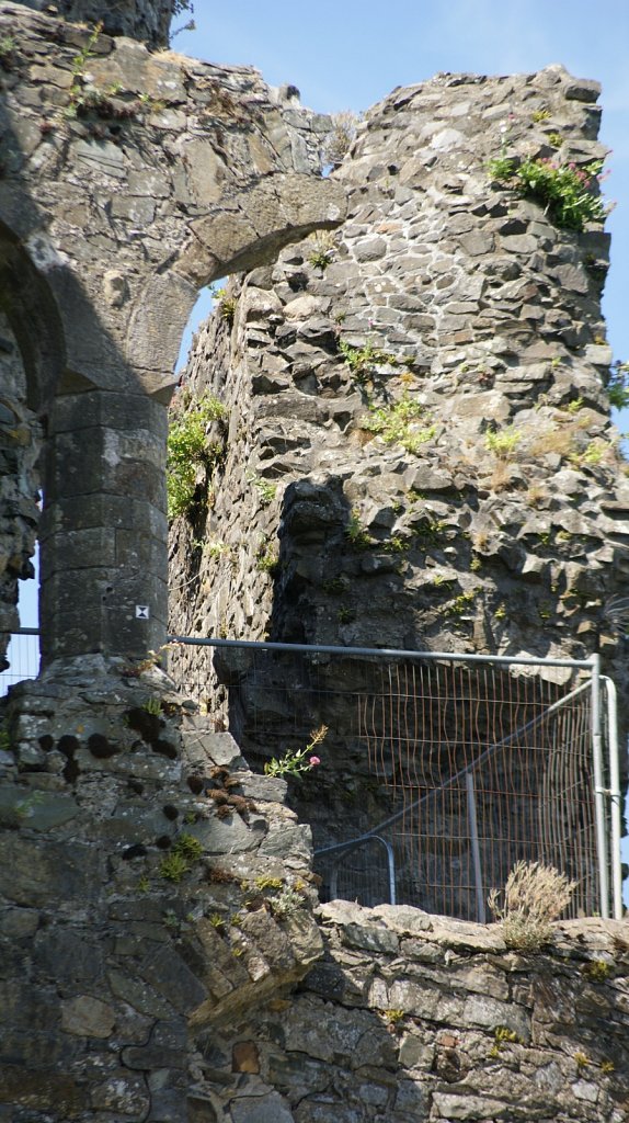 DSC02875.JPG