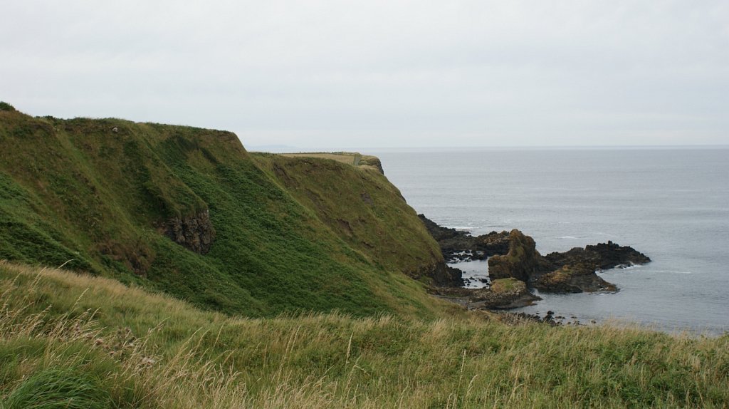 DSC02576.JPG